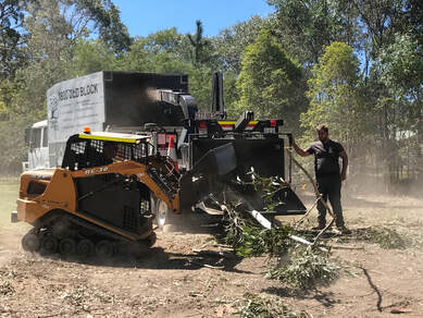 Tree Removal Brisbane Northside
